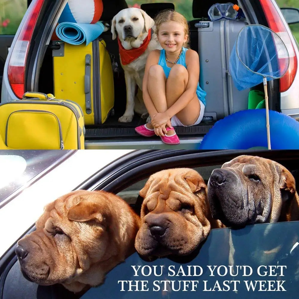 Pet Dog+Cat Car Seat Belt Safety Protector